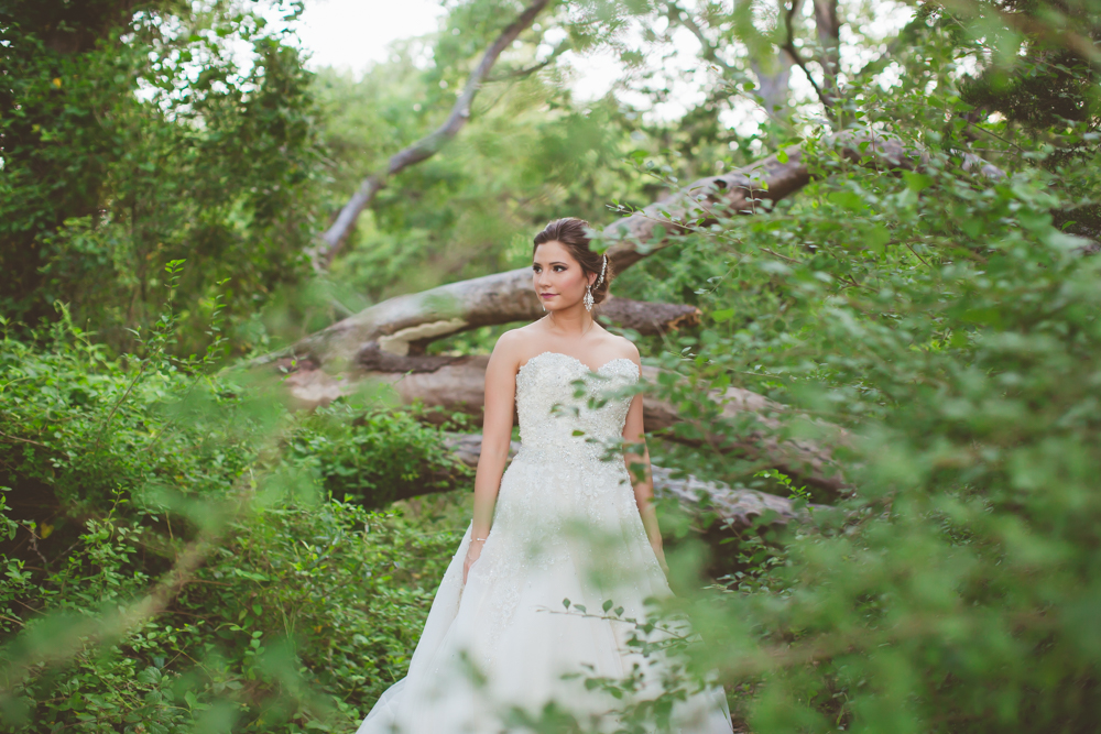 seeing bride through the trees
