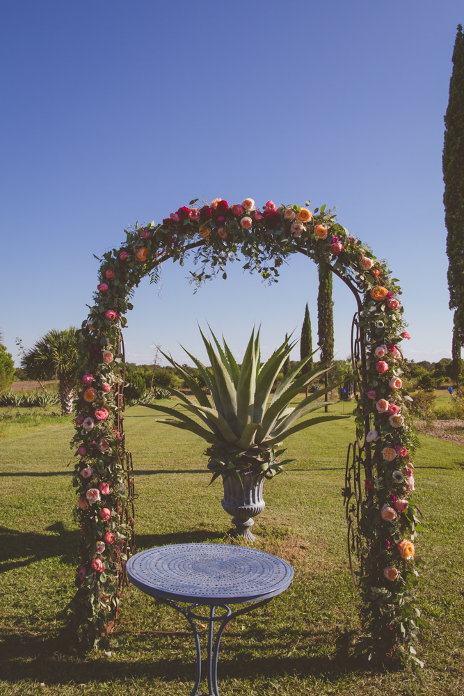 flower arch and succulent