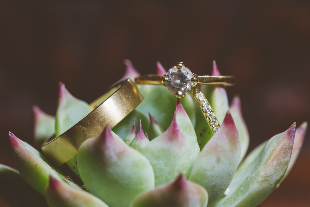 wedding rings on succulent