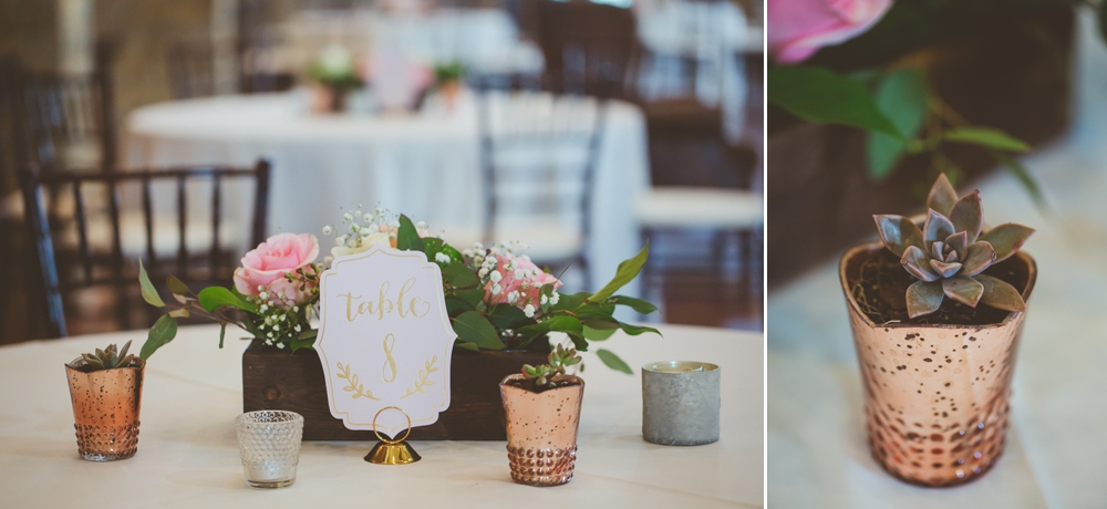 succulents and table numbers