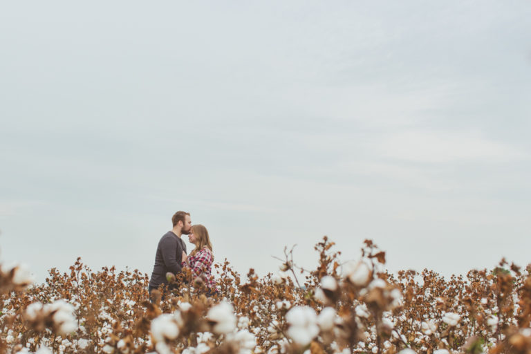 boyfriend kisses girlfriend in cotton field