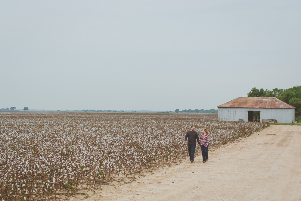 couple walking through cotton field