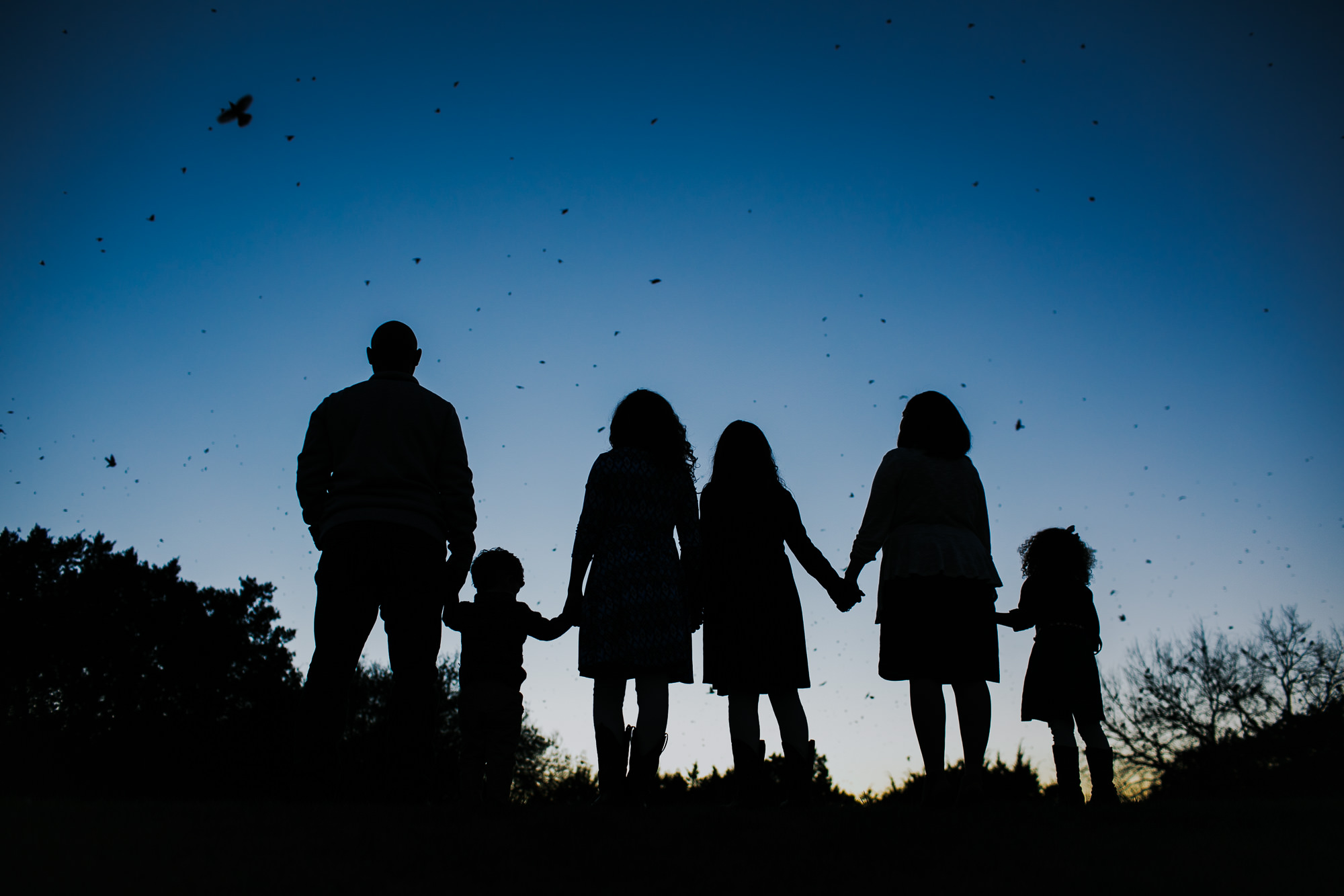 family silhouette with birds flying