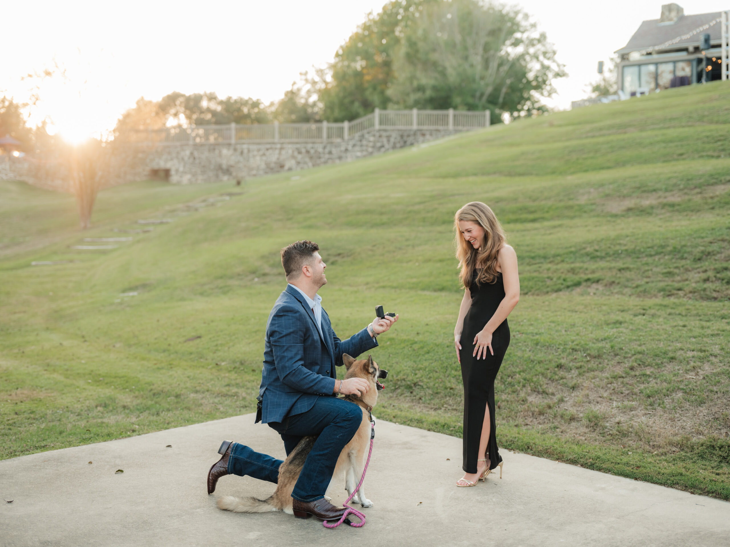proposal with a puppy