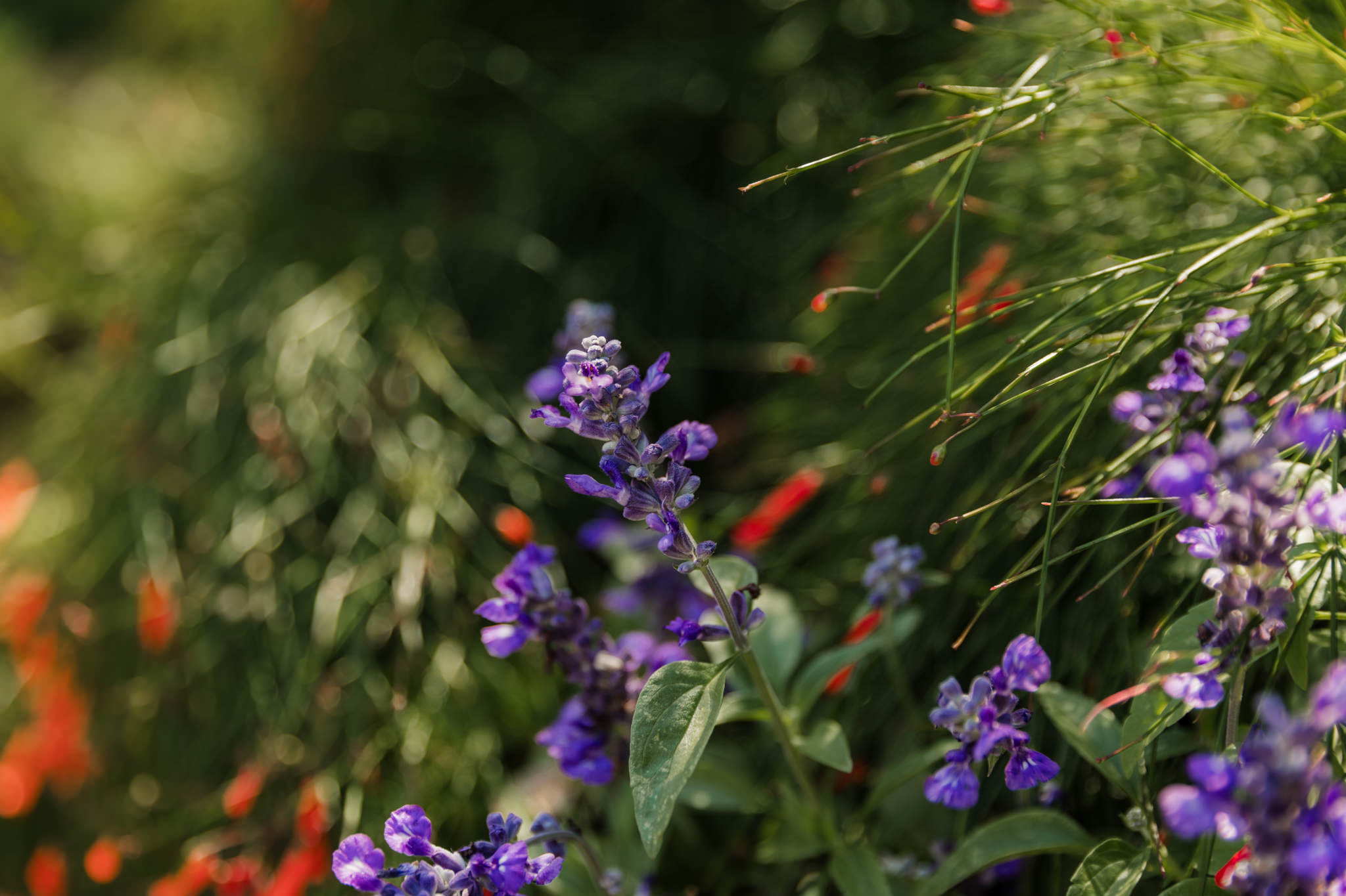 Hummingbird House Fall Wedding greenery