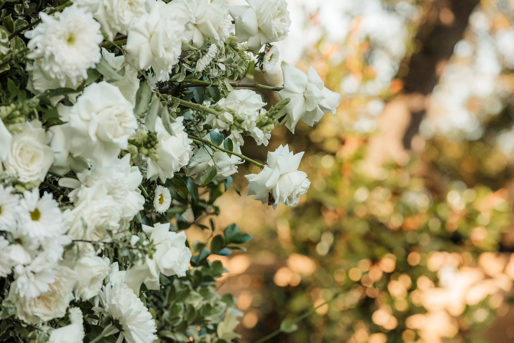 close up of all white flowers for wedding ceremony arch